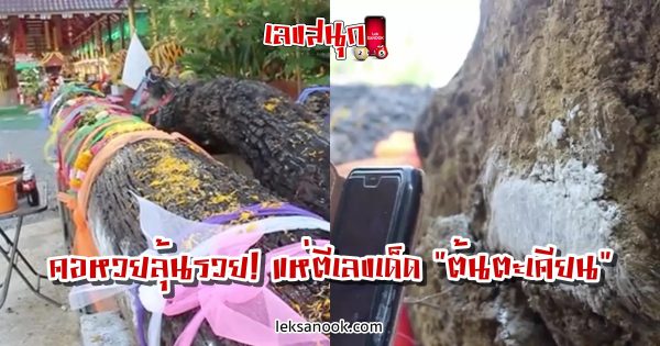 เลขต้นตะเคียน-16-10-63