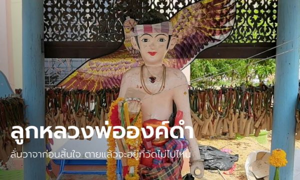 เลขเด็ด "ไอ้จ้าว"