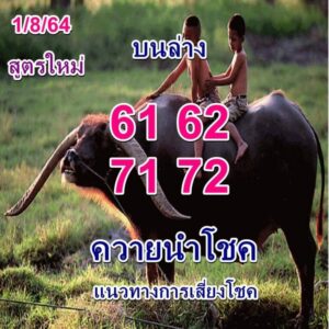 หวยควายนำโชค 1-8-64 