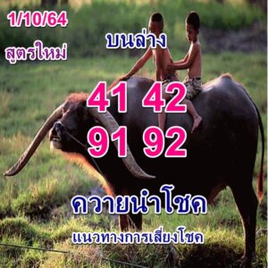 หวยควายนำโชค1-10-64