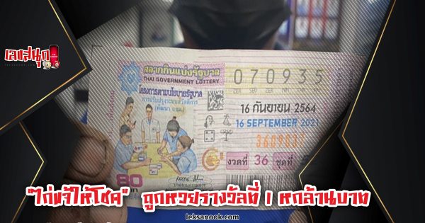 ไก่แจ้ให้โชค