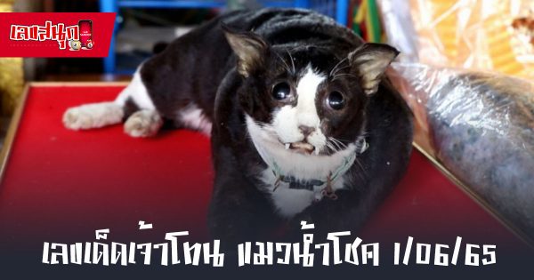 เลขเด็ดเจ้าโทน 1/06/65