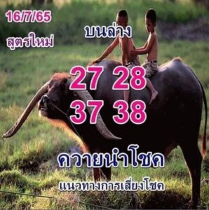 หวยควายนำโชค 16/07/65