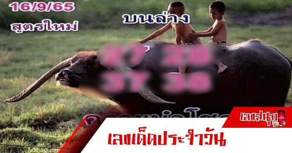 หวยควายนำโชค 16/09/65