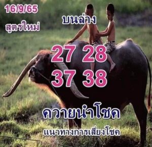 หวยควายนำโชค 16/09/65