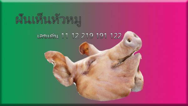 ฝันเห็นหมูหลายตัว