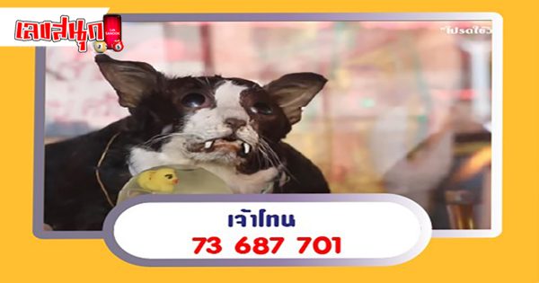 แนวทางหวยรัฐบาลไทย 16/12/65