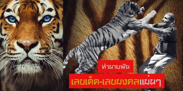 ฝันเห็นว่าต่อสู้กับเสือ