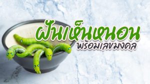 ฝันเห็นหนอน-เลขสนุก