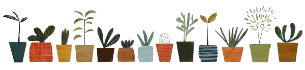 เส้นคั่น