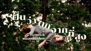 ฝันว่าตกต้นไม้