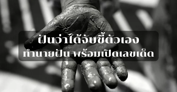 ทำนายฝันว่าจับขี้ตัวเอง