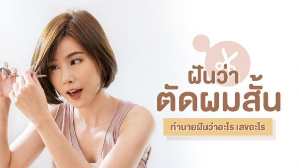  ฝันว่าตัดผม เลขเด็ด