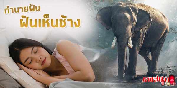 ฝันเห็นช้างหลายตัว