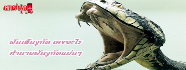 ฝันว่าโดนงูกัด