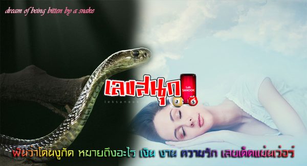 ฝันว่าโดนงูกัด