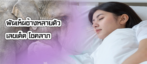 ฝันเห็นช้างหลายตัว