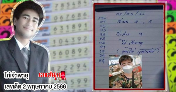 ไก่เจ้าพายุ