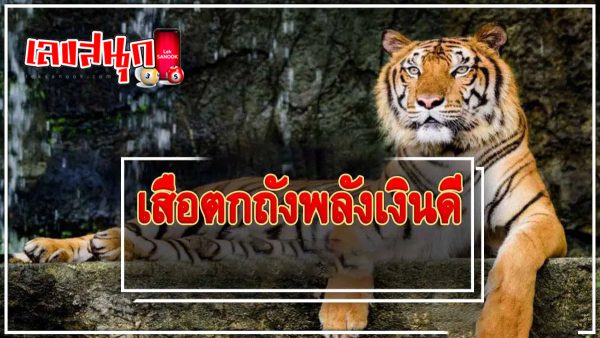 เลขเสือตกถัง