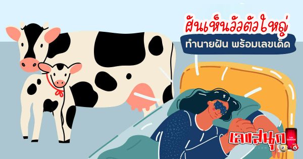 ฝันเห็นวัวตัวใหญ่