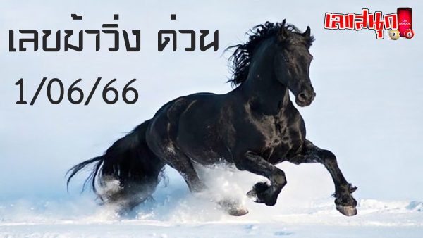 เลขม้าวิ่ง 1/6/66-leksanook.com