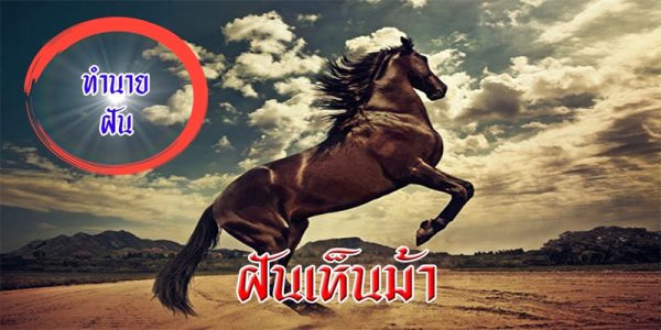  ฝันว่าได้จับม้า