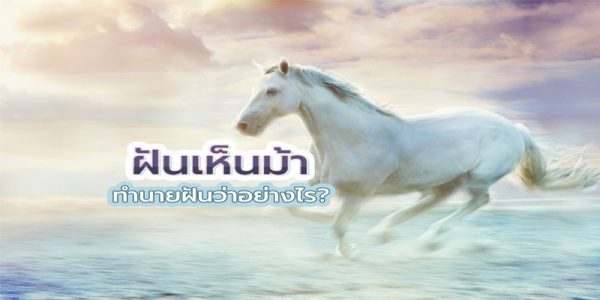  ฝันเห็นคนขี่ม้า เลขเด็ด