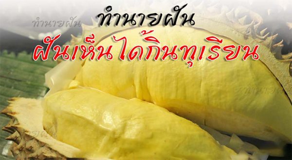  ฝันเห็นทุเรียนลูกใหญ่-leksanook