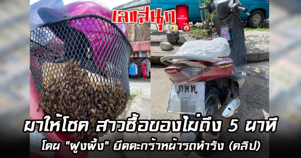 มาให้โชค