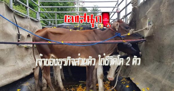 เลขเด็ดงวดนี้
