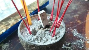 ปลาไหลเผือก-leksanook