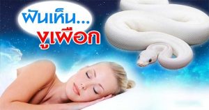 ฝันเห็นงูเผือก เลขเด็ด