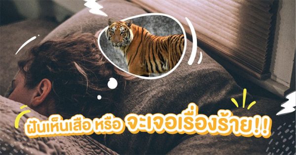 ฝันเห็นเสือเข้ามาหา