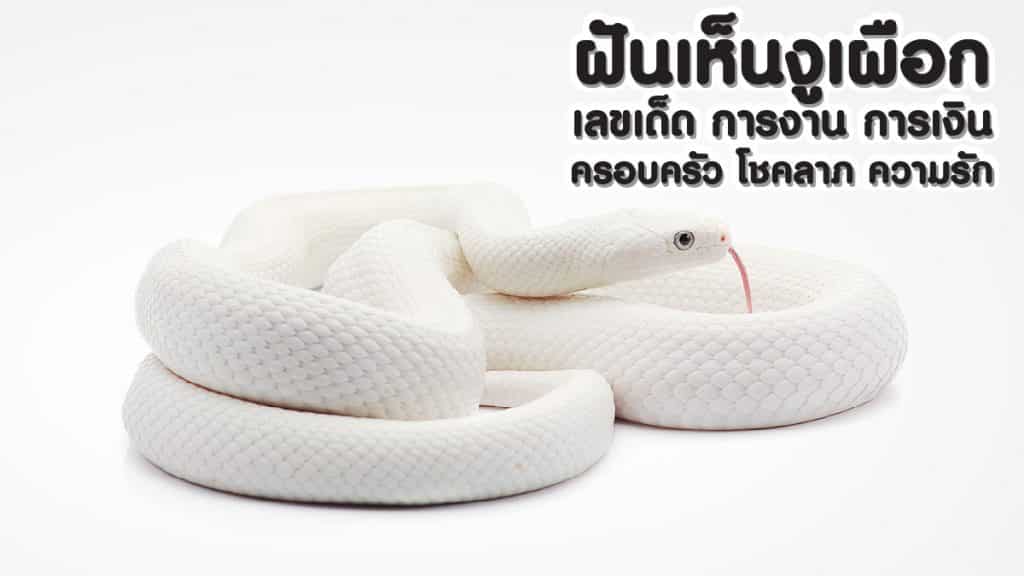 ฝันเห็นงูเผือกตัวใหญ่