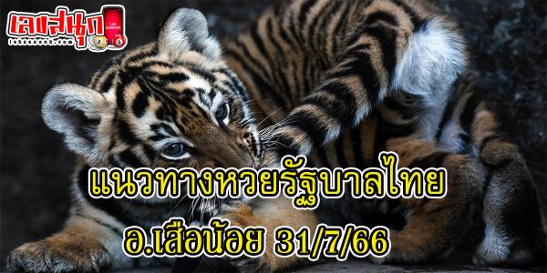 อ.เสือน้อย 31/7/66