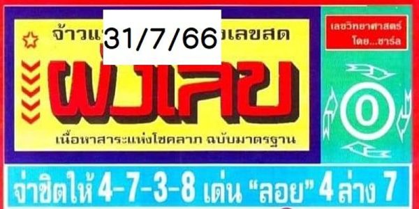 ผังเลข 31/7/2566