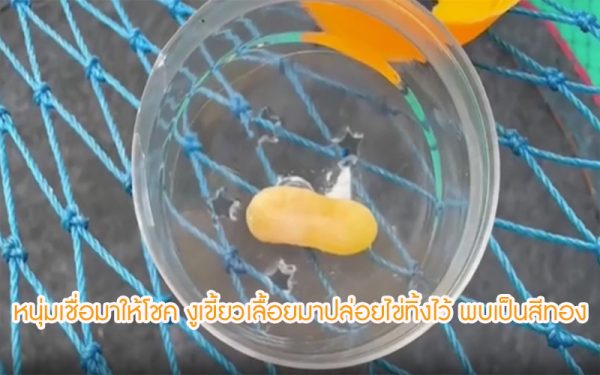 หนุ่มเชื่อมาให้โชค