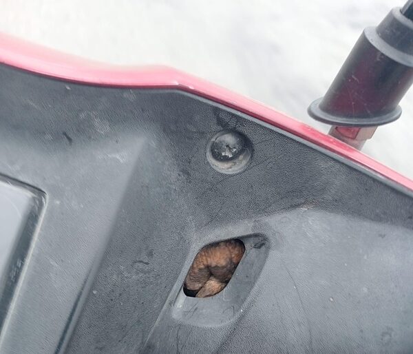 เลขเด็ดแม่นๆ