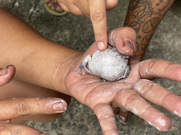 เลขเด็ดอาจารย์ดังเข้าทุกงวด