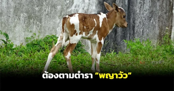ตำราโบราณ