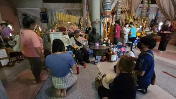 ตาทองงิ้วราย อยู่ที่ไหน - leksanook