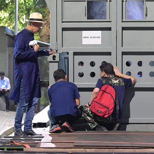 ส่งช้างกลับบ้าน