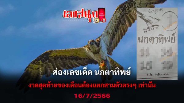 เลขนกตาทิพย์ 16/7/2566