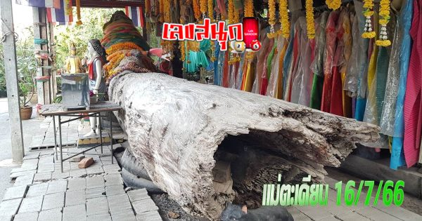 แม่ตะเคียน