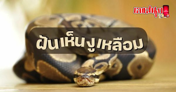 ฝันเห็นงูเหลือมตัวใหญ่