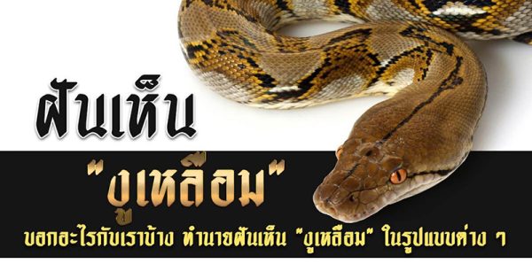 ฝันเห็นงูเหลือมตัวใหญ่