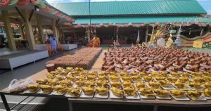 สาวชุมพรขายที่ดินสมใจ