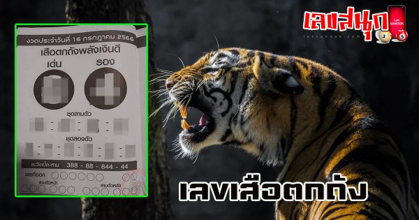 เลขเสือตกถัง 16/7/2566
