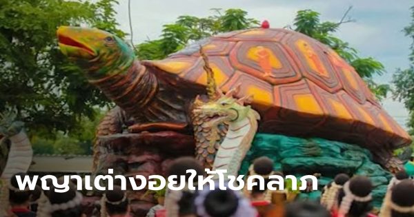 เลขพญาเต่างอย 31/7/66