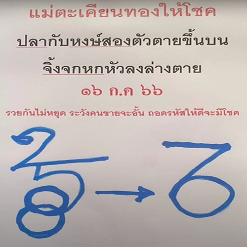 เลขปริศนานครสวรรค์ 16/7/66-leksanook.com